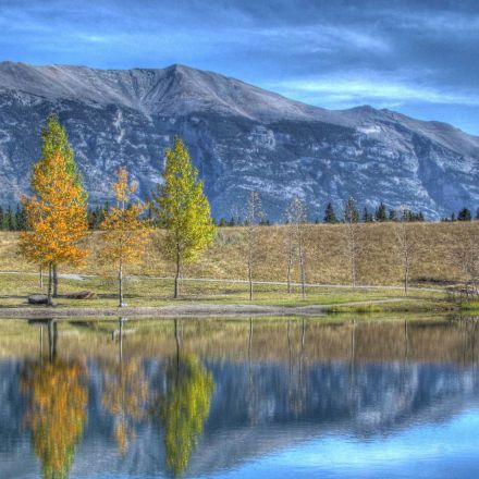 Beautiful Nature